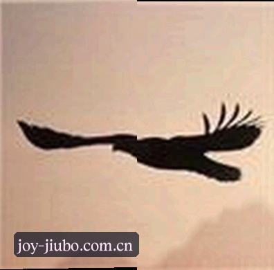 陈静